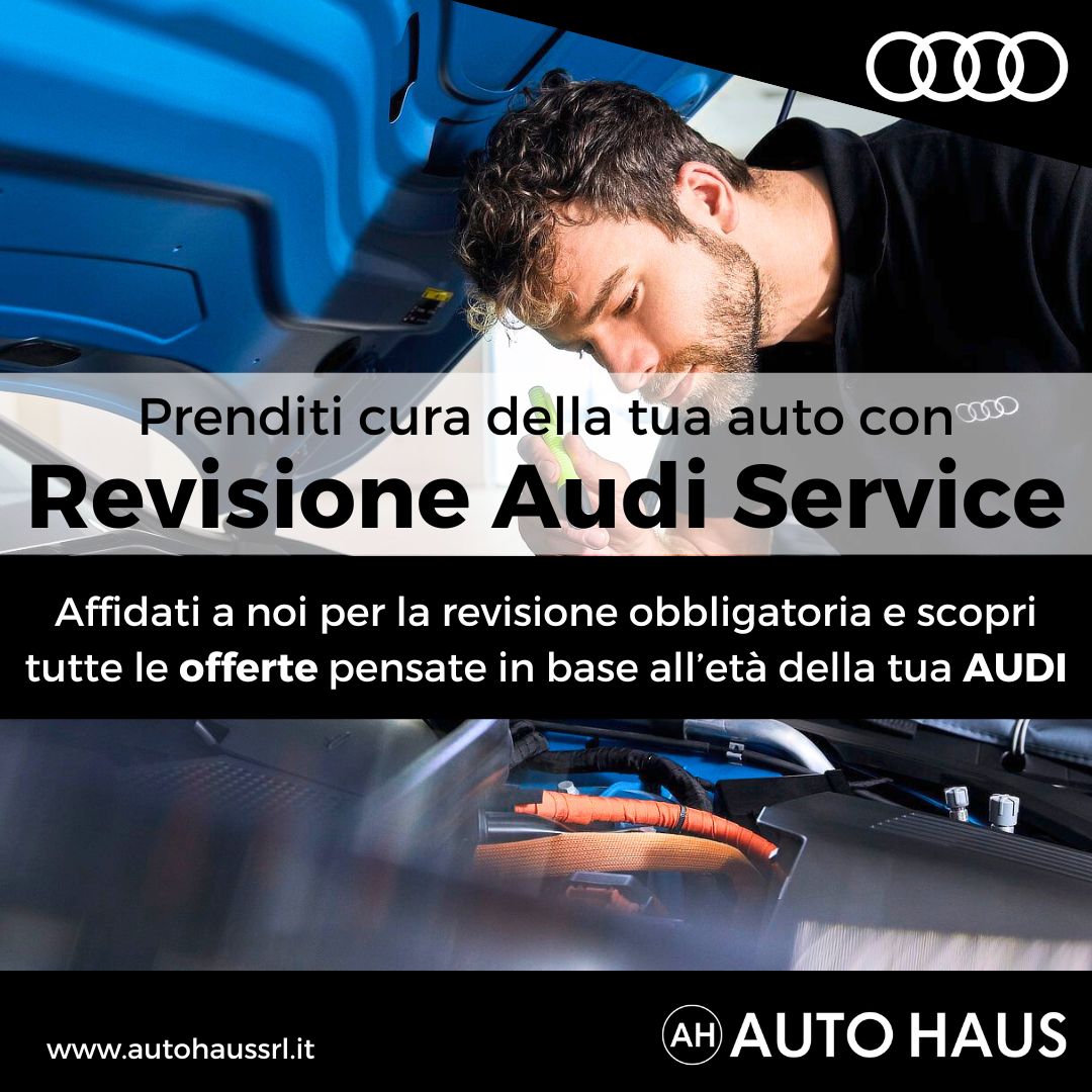 Revisione Audi Service