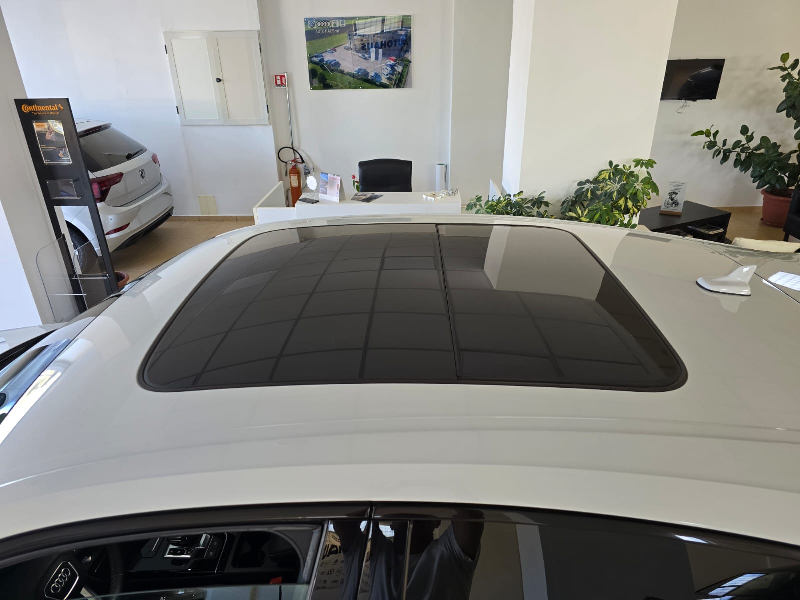 Audi Q5 Spb 40 Tdi 204Cv S-Tronic Quattro