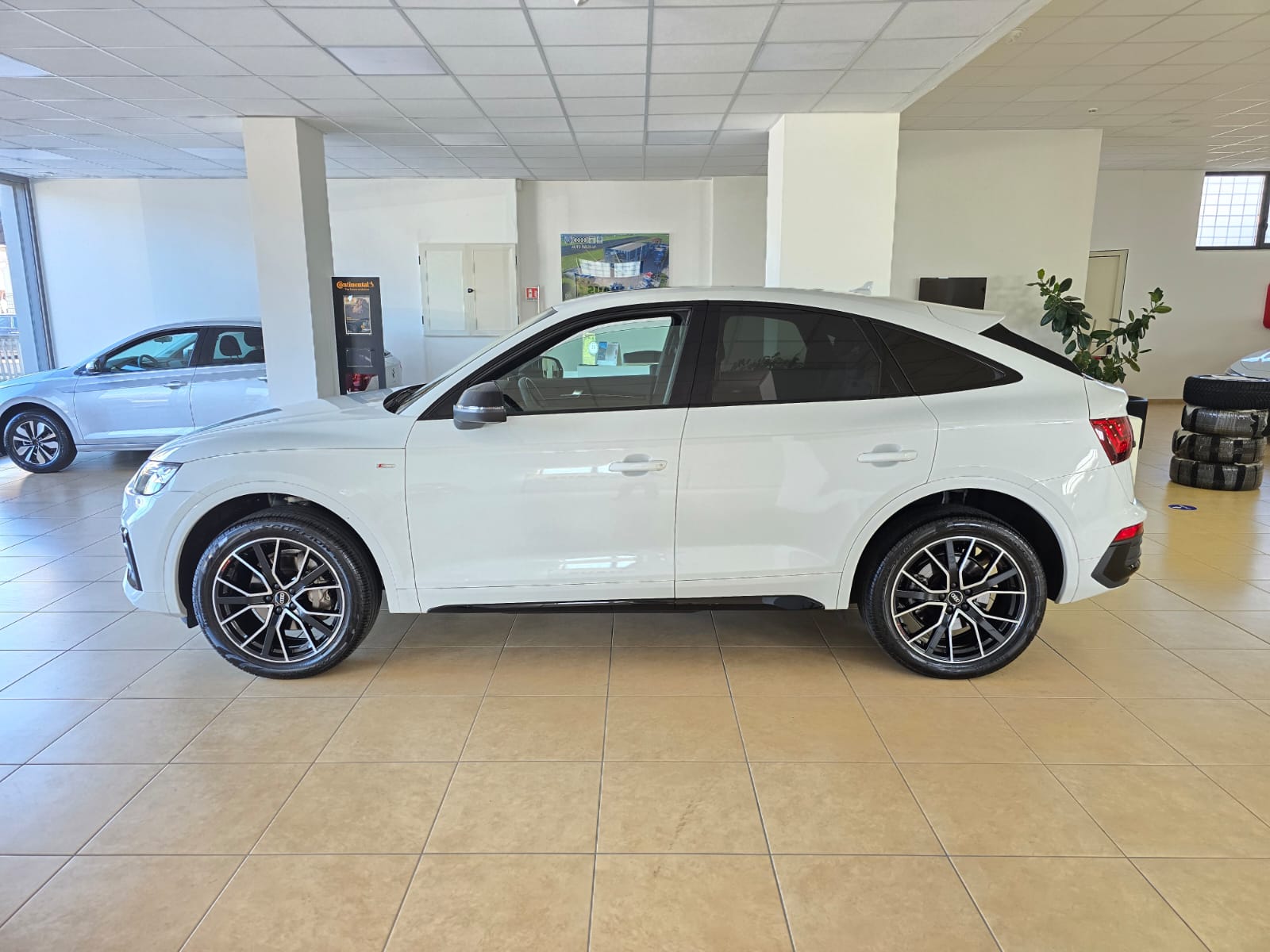 Audi Q5 Spb 40 Tdi 204Cv S-Tronic Quattro