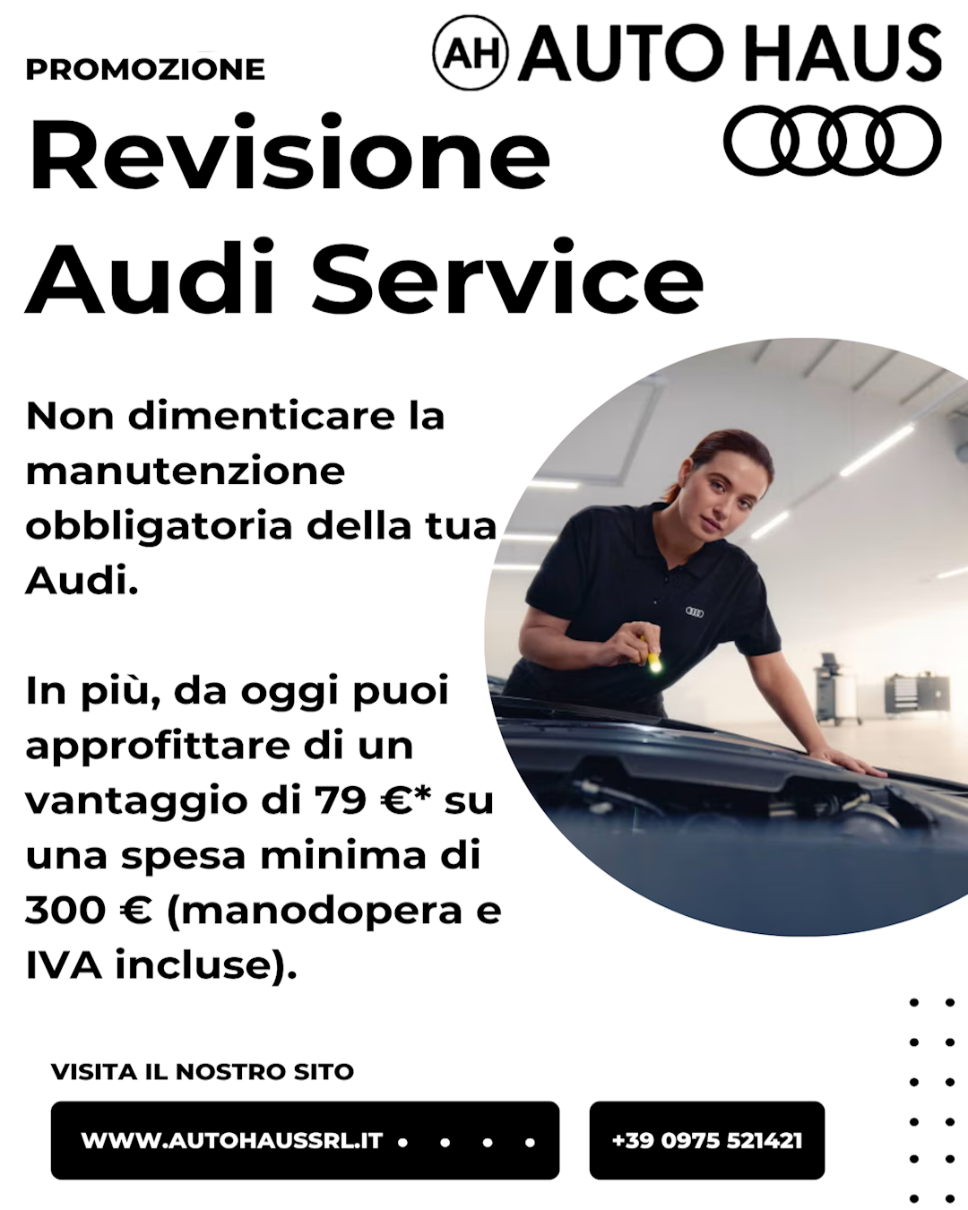 Revisione Audi Service
